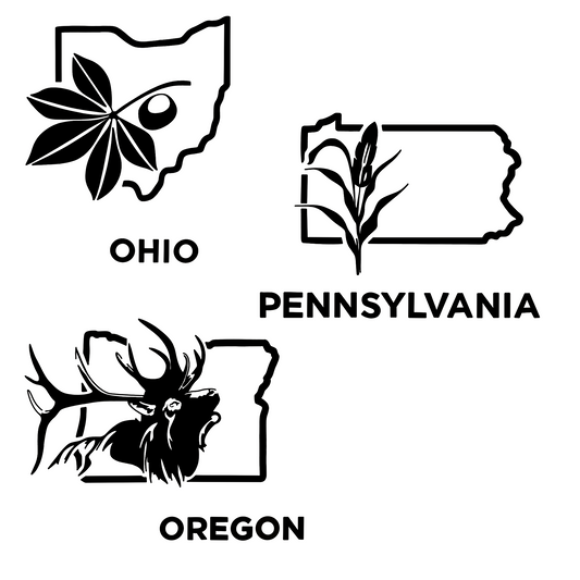 Large State car decal (12in X 12in)