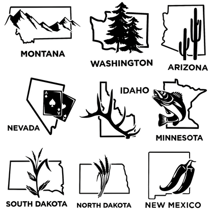 Large State car decal (12in X 12in)